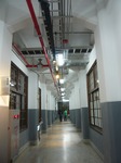 P1040500.jpg